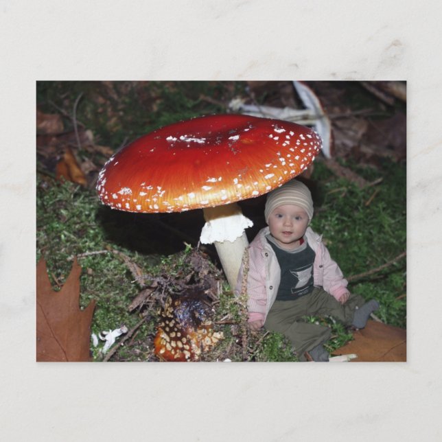Wichtel - Zwerg unter dem Fliegenpilz Postkarte (Vorderseite)