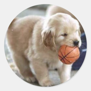 Wichtigere Runder Aufkleber