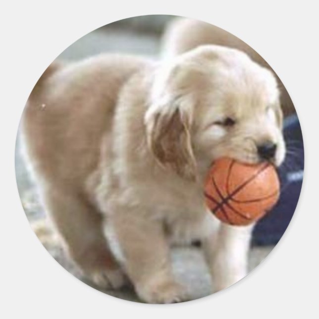 Wichtigere Runder Aufkleber (Vorderseite)