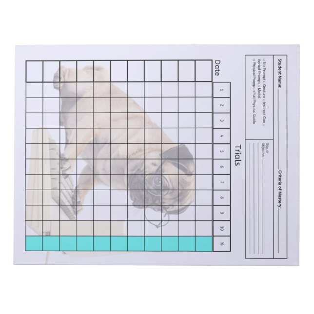 Wichtiges SpEd-Tool: Leeres Datenblatt (Tests) Notizblock (Vorderseite)