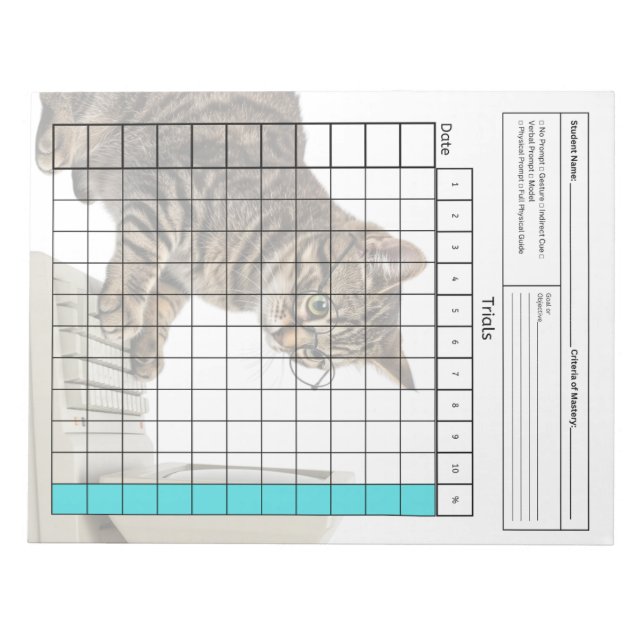 Wichtiges SpEd-Tool: Leeres Datenblatt (Tests) Notizblock (Vorderseite)