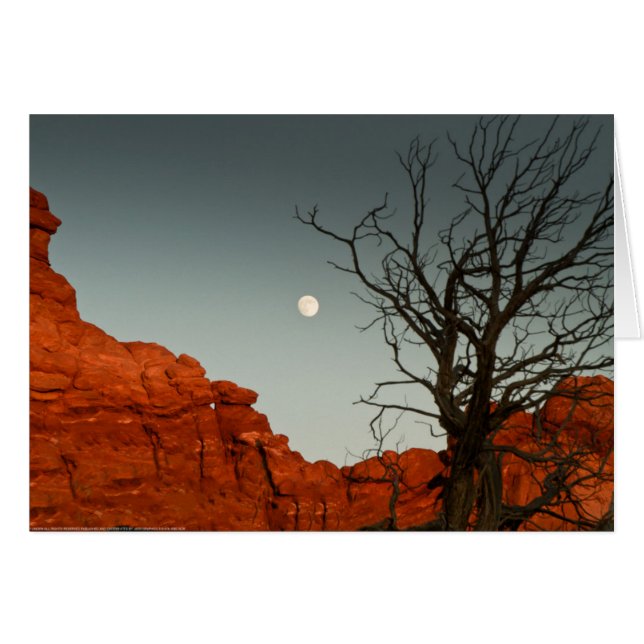 Wicked Moon (Vorderseite (Horizontal))