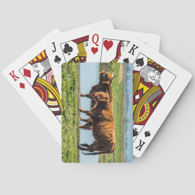 Wicken Fen-Rinder Spielkarten (Rückseite)