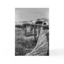 Wicklungs-Dünen-Zaun