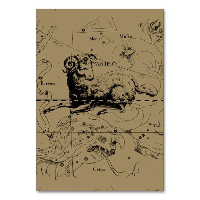 Widder-Konstellations-Karte Hevelius circa 1690 Tischnummer (Vorderseite)