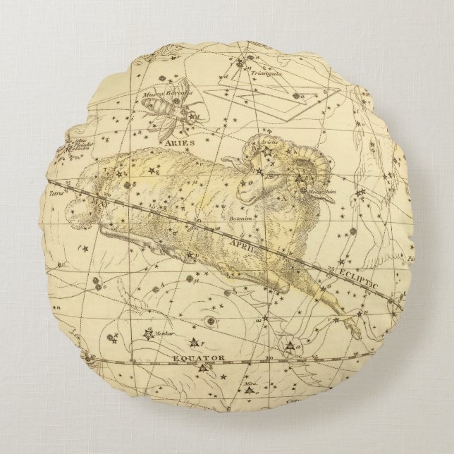 Widder, Musca Borealis Rundes Kissen (Vorderseite)