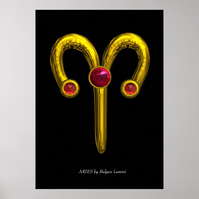 WIDDER POSTER (Vorne)