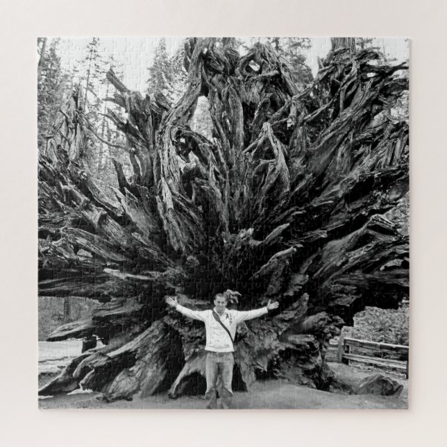 Wide Angle Sequioa Tree Trunk - 20x20 - 676 Stk. Puzzle (Vertikal)
