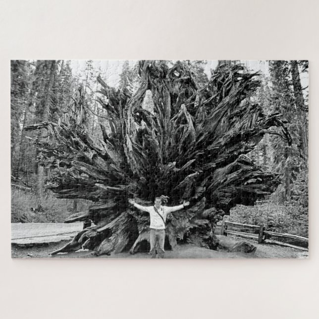 Wide Angle Sequioa Tree Trunk - 20x30 - 1014 Stk. Puzzle (Horizontal)