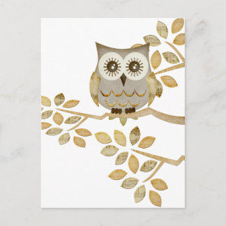 Wide Eyes Owl in Tree Postkarte