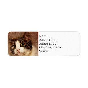 Wide Mit Augen Kitty Portrait ABSTRAKT Wasserf