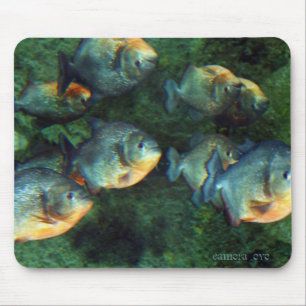 Widergespiegelter Piranha Mousepad