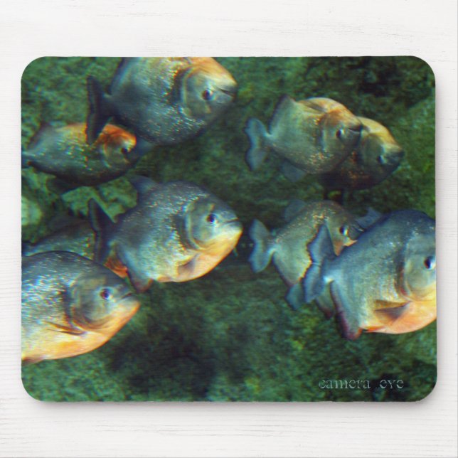 Widergespiegelter Piranha Mousepad (Vorne)