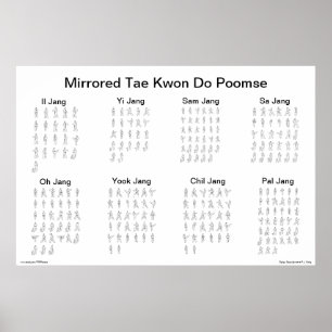 Widergespiegeltes Taekwondo Poomse Poster