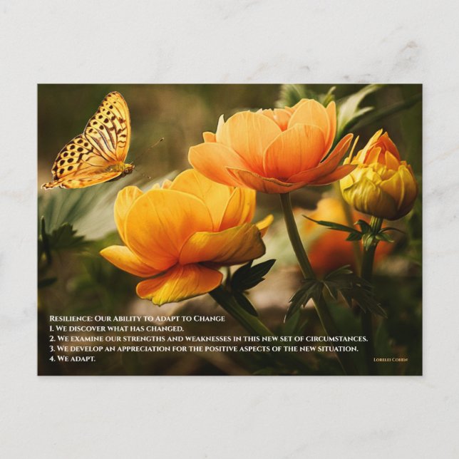Widerstandsfähigkeit: Unsere Fähigkeit, sich an de Postkarte (Vorderseite)