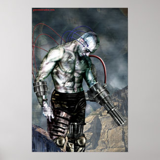 widerstrebender Krieger Poster