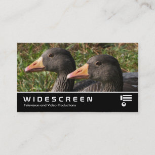 Widescreen 354 - Graugänse Visitenkarte