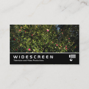 Widescreen 394 - Camellia Bush Visitenkarte
