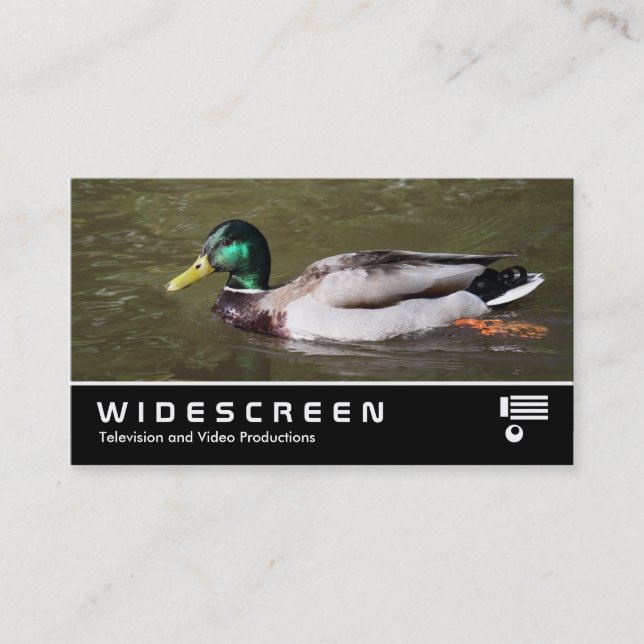 Widescreen 401 - Mallard Duck Visitenkarte (Vorderseite)