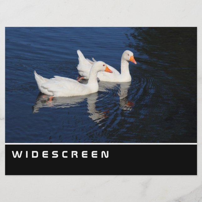 Widescreen - Emden Gänse Flyer (Vorne)