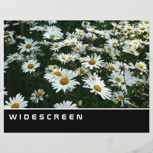 Widescreen - Shasta Daisies Flyer (Vorne)