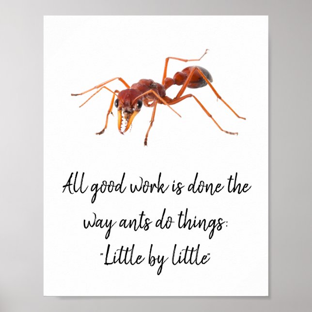 Wie Ameisen funktionieren Poster (Vorne)