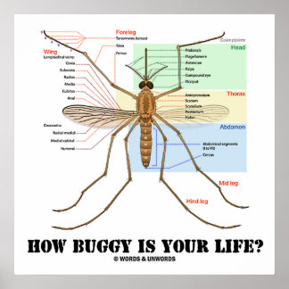 Wie Buggy ist dein Leben? Moskito Anatomischer Spa Poster