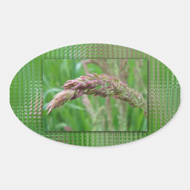 Wie das Gras Aufkleber wächst (Vorderseite)