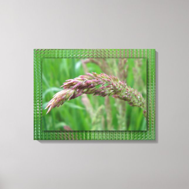 Wie das Gras die Leinwand wachsen lässt (Vorderseite)