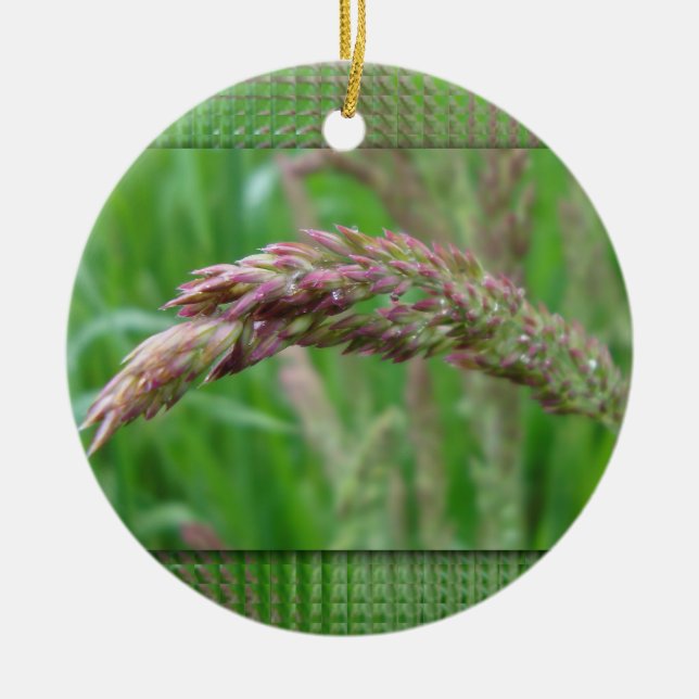 Wie das Gras Ornament wächst (Vorne)