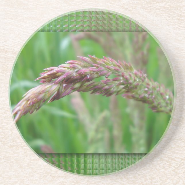 Wie das Gras Untersetzer wächst (Vorne)