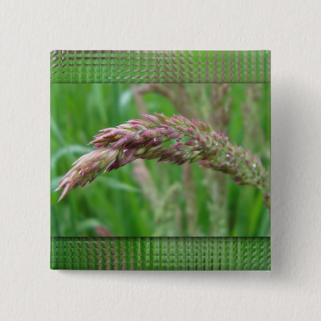 Wie das Gras wächst Button (Vorderseite)