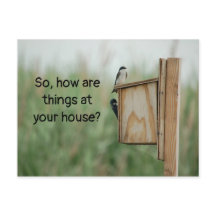 Wie denken die Dinge über Vögel?