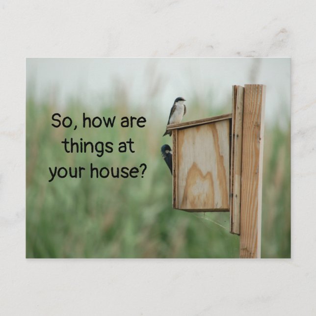 Wie denken die Dinge über Vögel? Postkarte (Vorderseite)