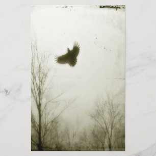 Wie die Crow fliegt Briefpapier