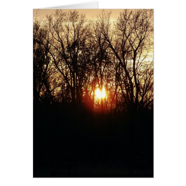 Wie die Sonne Set (Vorne)