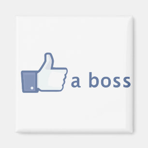 Wie ein Chefmagnet Magnet