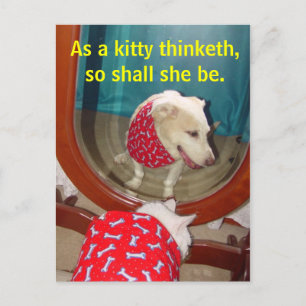 Wie ein Kätzchen denkt... Postkarte