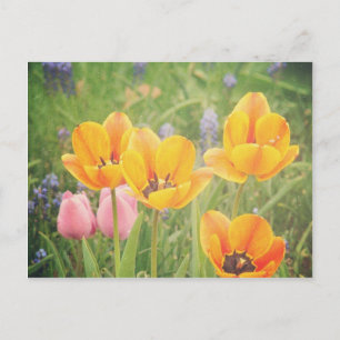 Wie ein schönes Stillleben Postkarte