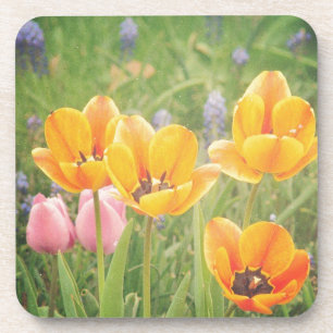 Wie ein schönes Stillleben Untersetzer