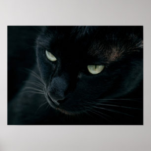 Wie ein schwarzer Panther Poster