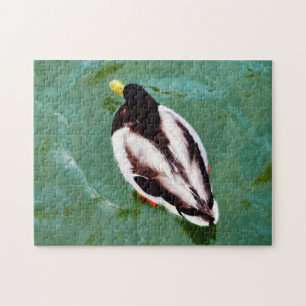 Wie eine Ente im Puzzle der Wilden Ente