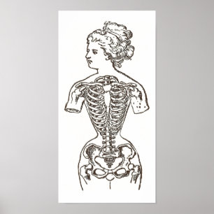 Wie Frauen an Schönheit leiden: Die Auswirkungen v Poster