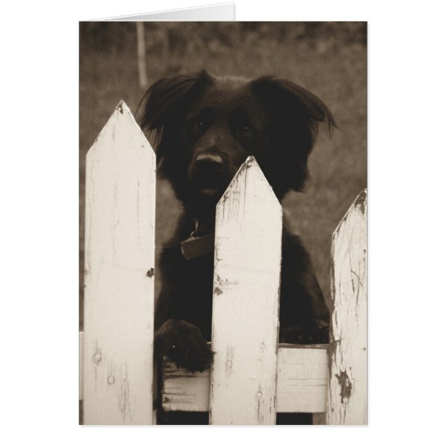 wie geht es? (Vorne)