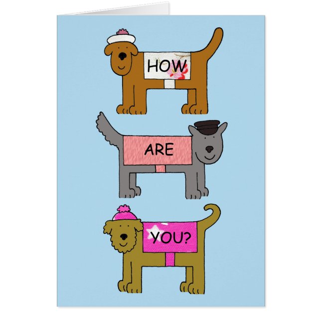 Wie geht es dir bei der Kleidung um Hunde? (Vorne)