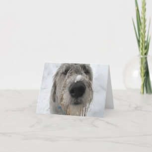 Wie geht es dir? karte