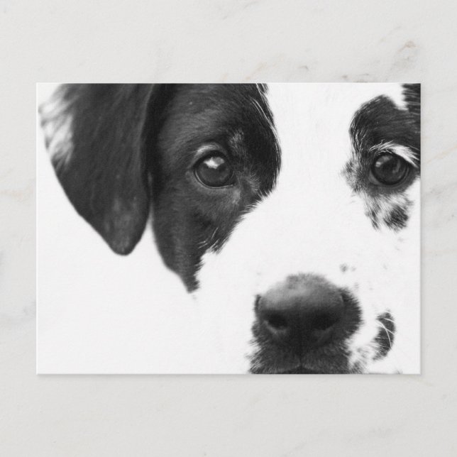 Wie geht es dir? postkarte (Vorderseite)