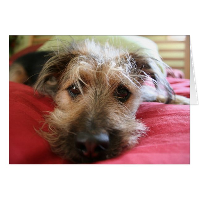 Wie geht es Ihnen? (Vorderseite (Horizontal))