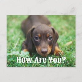 Wie geht es Ihnen mit einer Postkarte? Feiertagspostkarte