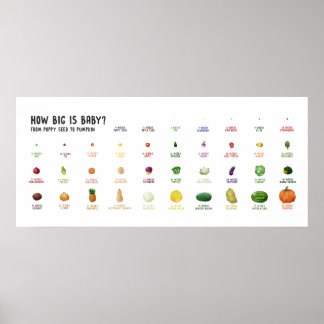 Wie groß ist Baby? Fruchtposter der Schwangerschaf Poster